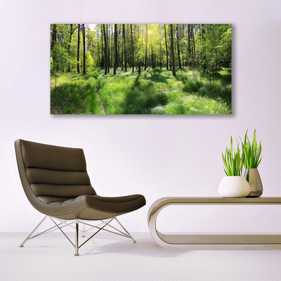Obraz Canvas Les tráva rastlina príroda