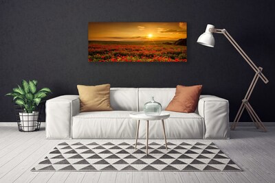 Obraz Canvas Pole maky západ slnka lúka