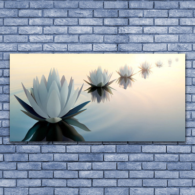 Skleneny obraz Vodné lilie biely lekno