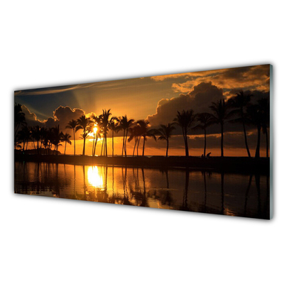 Obraz na akrylátovom skle Stromy slnko krajina