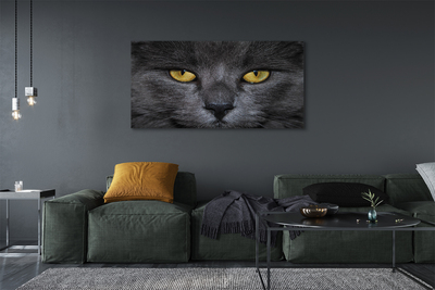 Obraz na plátne Čierna mačka