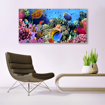 Obraz na akrylátovom skle Koralový útes príroda
