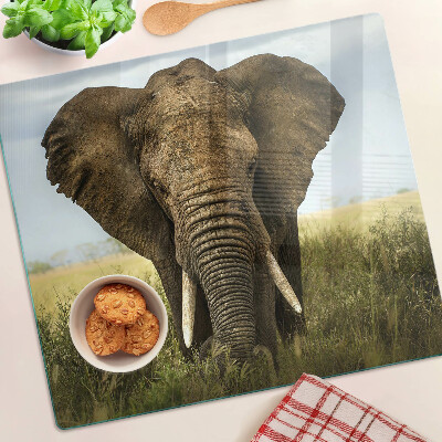 Sklenená doska na krájanie Slon na pozadí africkej savany