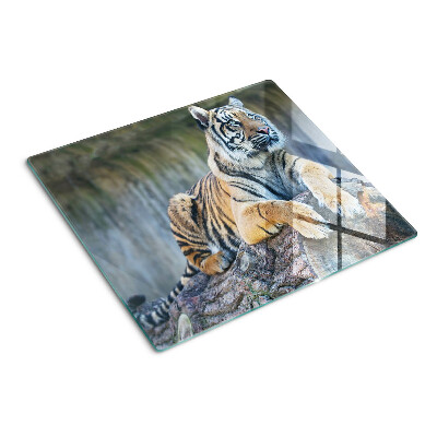 Sklenená doska na krájanie Tiger na kmeni stromu