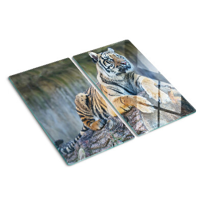 Sklenená doska na krájanie Tiger na kmeni stromu