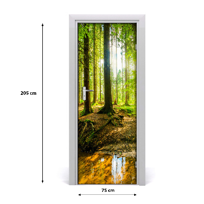 Fototapeta na dvere samolepiace slnka v lese