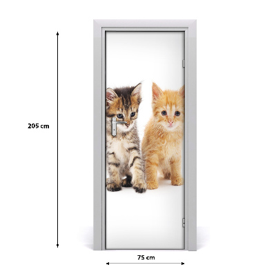 Samolepiace fototapety na dvere Sivá a červená mačka