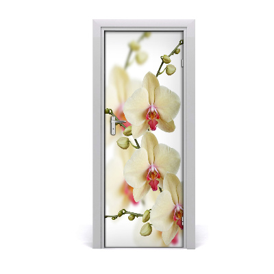 Samolepiace fototapety na dvere orchidea