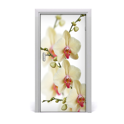 Samolepiace fototapety na dvere orchidea