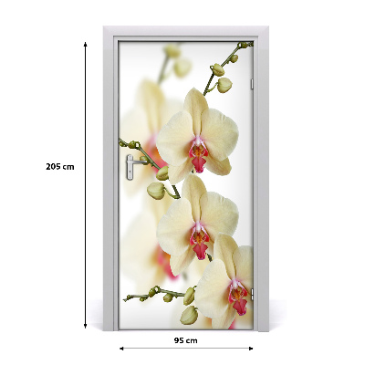 Samolepiace fototapety na dvere orchidea