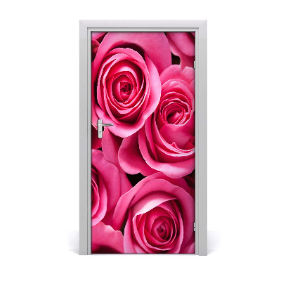 Samolepiace fototapety na dvere ružová ruža