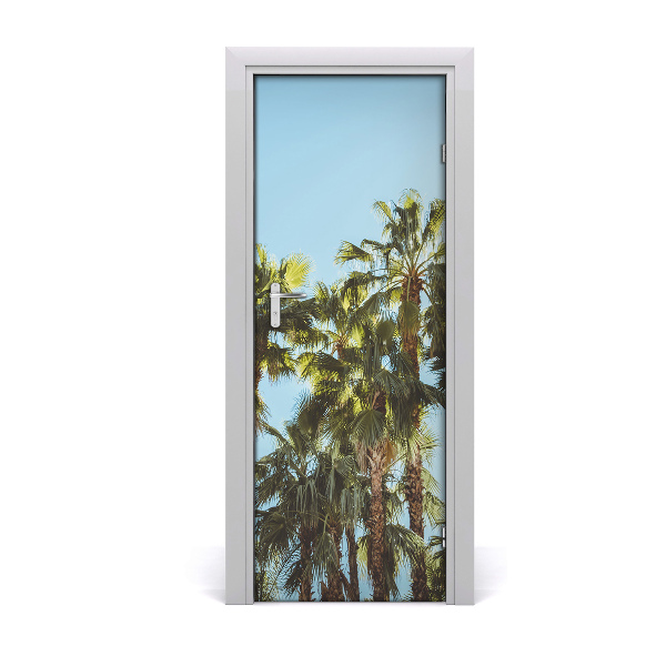 Fototapeta na dvere samolepiace príroda palmy