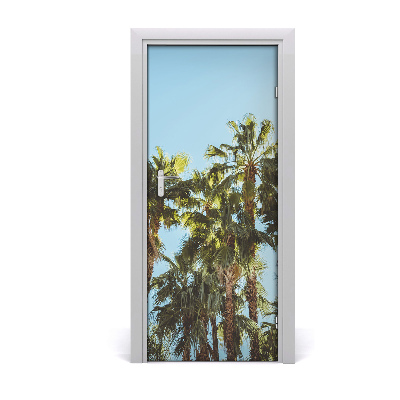 Fototapeta na dvere samolepiace príroda palmy