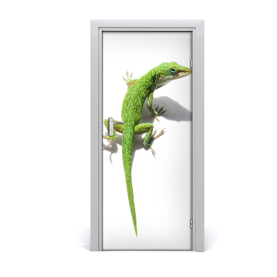 Samolepiace fototapety na dvere zelená jašterica