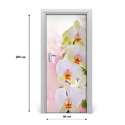 Samolepiace fototapety na dvere biela orchidea