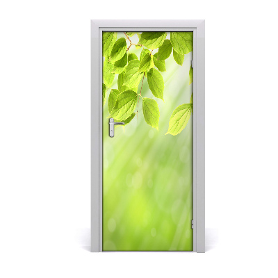 Fototapeta na dvere zeleňou listy