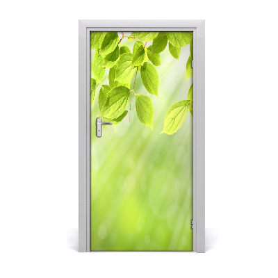 Fototapeta na dvere zeleňou listy