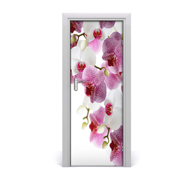 Fototapeta na dvere orchidea