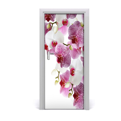 Fototapeta na dvere orchidea
