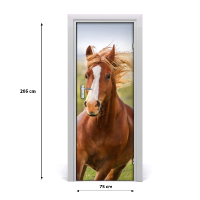 Samolepiace fototapety na dvere Kôň v cvale