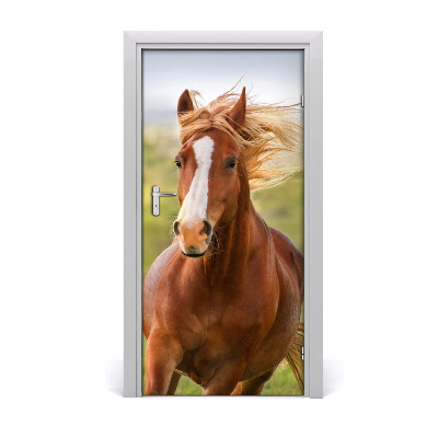 Samolepiace fototapety na dvere Kôň v cvale