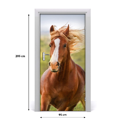 Samolepiace fototapety na dvere Kôň v cvale