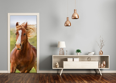 Samolepiace fototapety na dvere Kôň v cvale