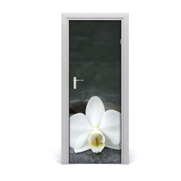 Fototapeta na dvere orchidea
