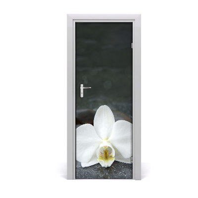 Fototapeta na dvere orchidea