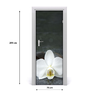 Fototapeta na dvere orchidea