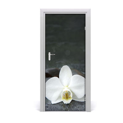 Fototapeta na dvere orchidea