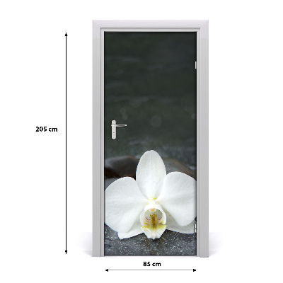 Fototapeta na dvere orchidea