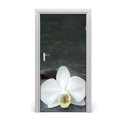 Fototapeta na dvere orchidea