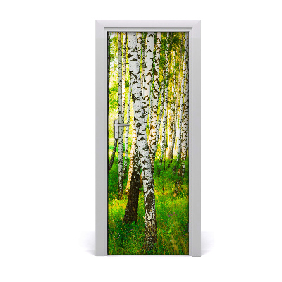 Fototapeta na dvere samolepiace Břízová les