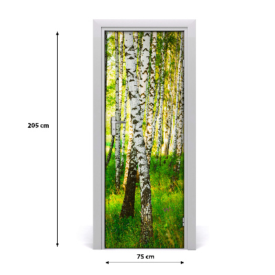 Fototapeta na dvere samolepiace Břízová les