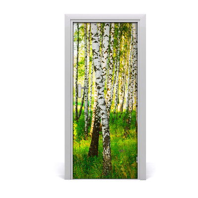 Fototapeta na dvere samolepiace Břízová les