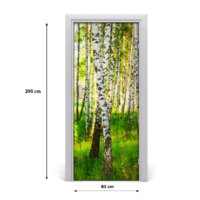 Fototapeta na dvere samolepiace Břízová les