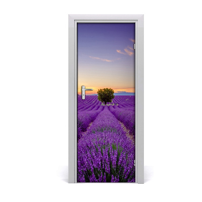Fototapeta na dvere samolepiace poľa levanduľa