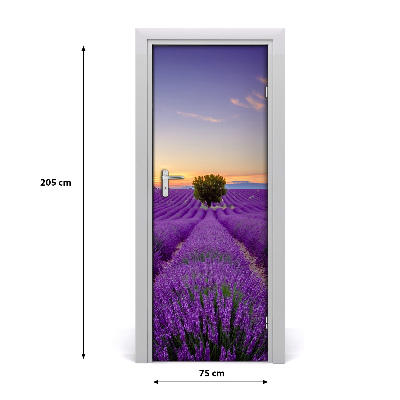 Fototapeta na dvere samolepiace poľa levanduľa