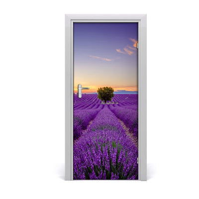 Fototapeta na dvere samolepiace poľa levanduľa