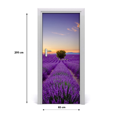 Fototapeta na dvere samolepiace poľa levanduľa