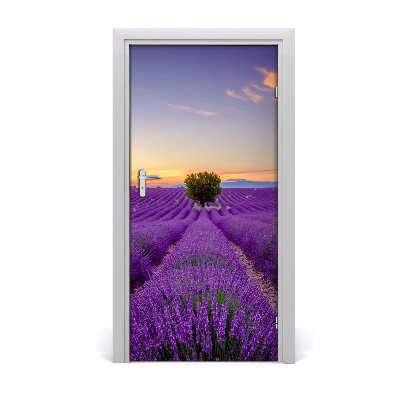 Fototapeta na dvere samolepiace poľa levanduľa