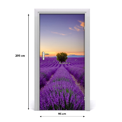 Fototapeta na dvere samolepiace poľa levanduľa
