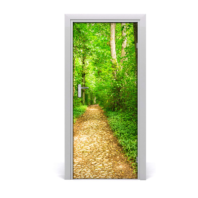 Fototapeta na dvere samolepiace chodník v lese