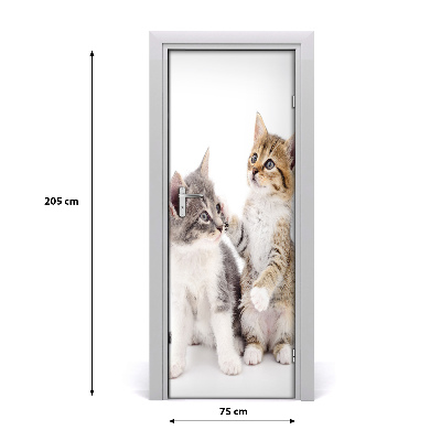 Samolepiace fototapety na dvere Dve malé mačky