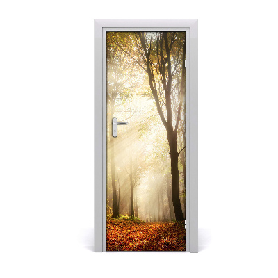 Fototapeta na dvere samolepiace les jeseň