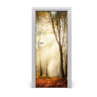 Fototapeta na dvere samolepiace les jeseň
