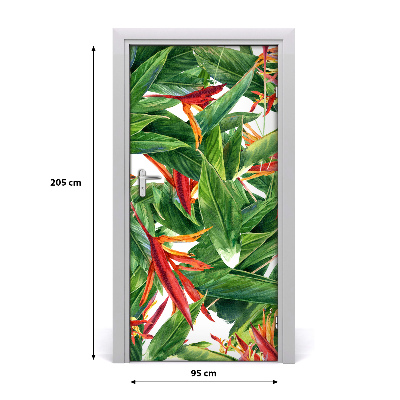 Samolepiace fototapety na dvere Strelitzia reginae