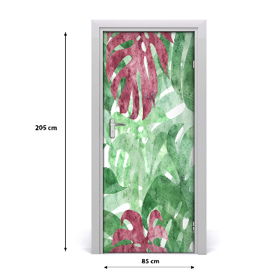 Samolepiace fototapety na dvere Monstera