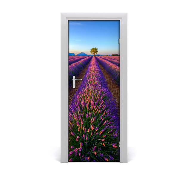 Fototapeta na dvere samolepiace poľa levanduľa